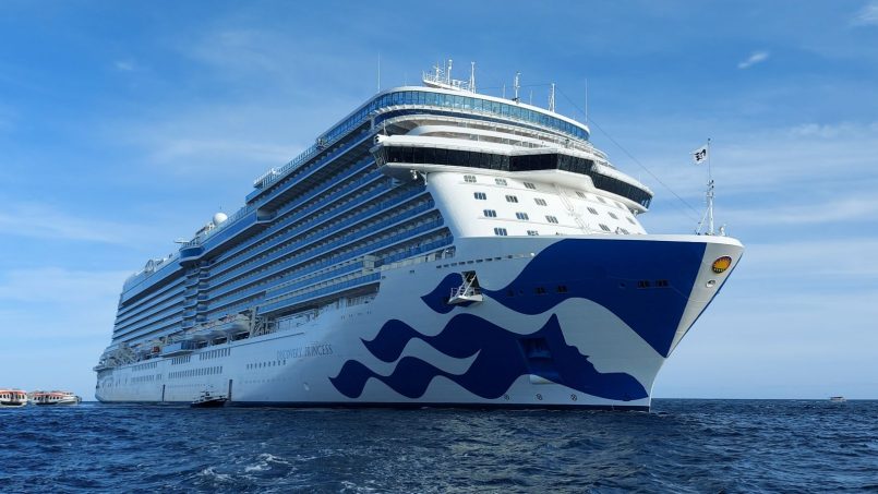 Discovery Princess ship